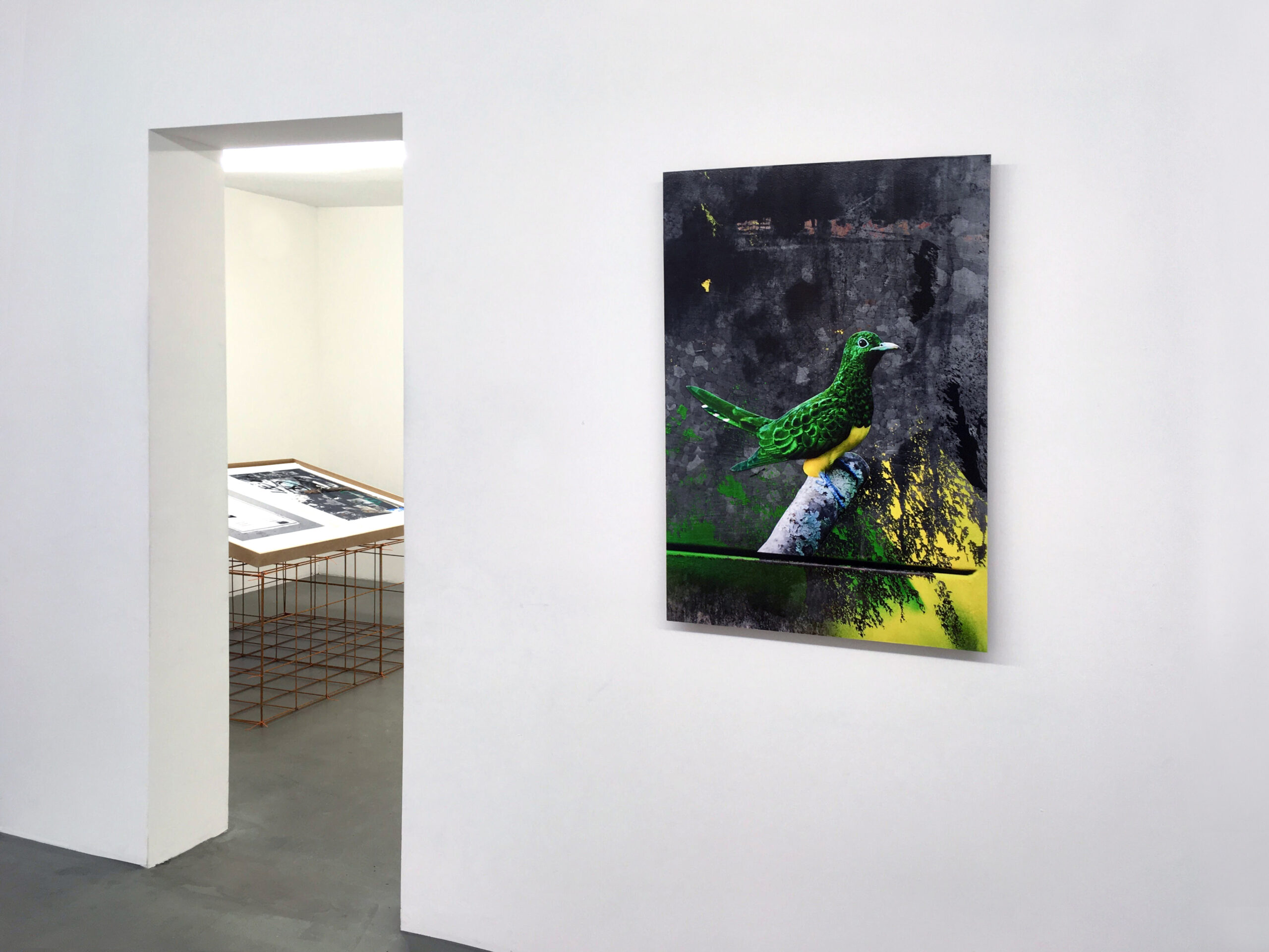 Konstnären Erik Berglin, visar fotografi på inkjet prints. Utställning på Galleri Thomassen. The Bird Project.