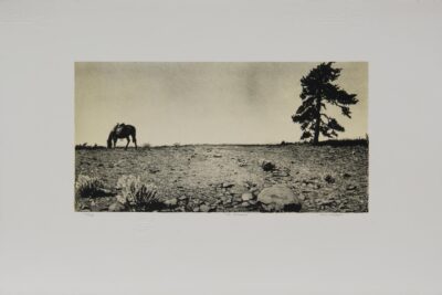 representation of artwork, id = The Excursion