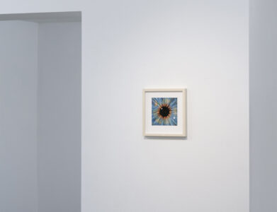 representation of artwork, id = Iris (Blackout)