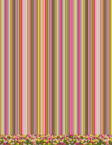 representation of artwork, id = Tulip Variations 3