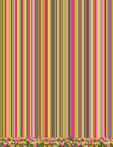 representation of artwork, id = Tulip Variations 4