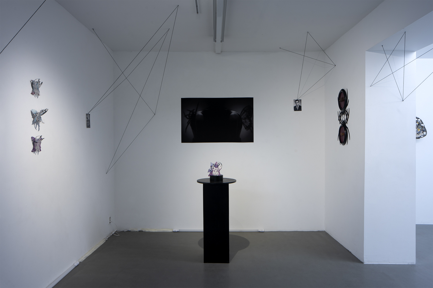 Alexia Brandel, Hereditary Metamorphosis, Foto David Eng 2