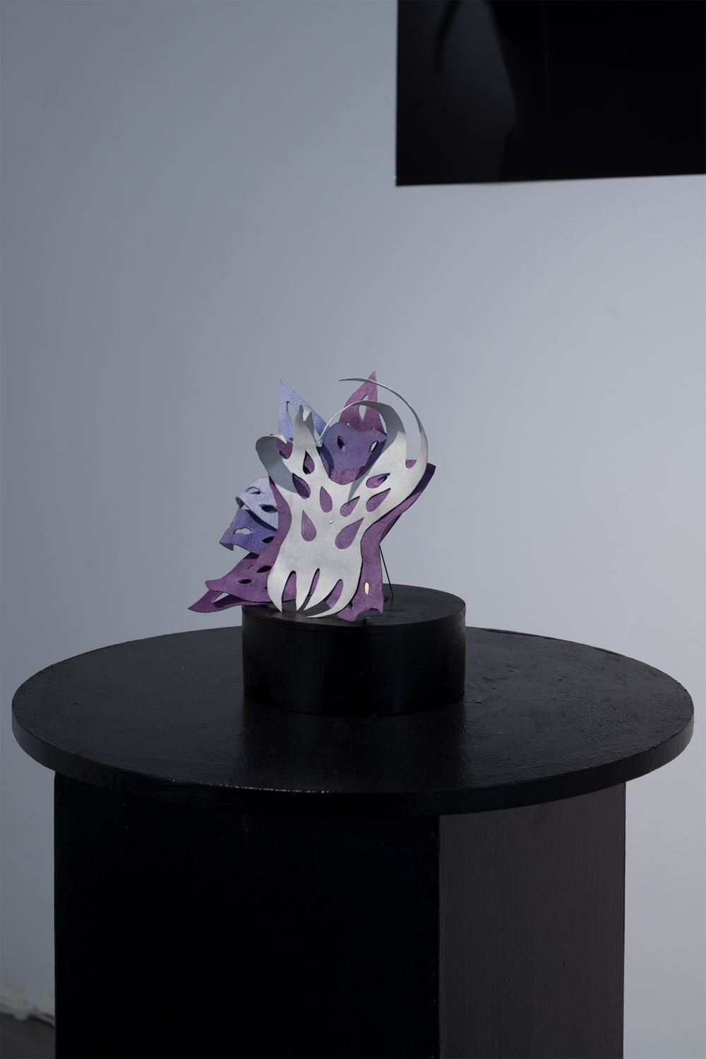 Alexia Brandel, Hereditary Metamorphosis, Foto David Eng