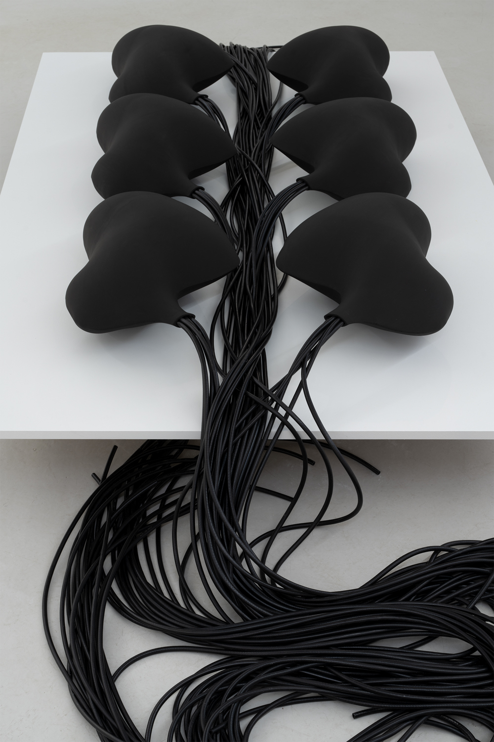 Karin Lengstrand, This Thing Swells, Foto David Eng