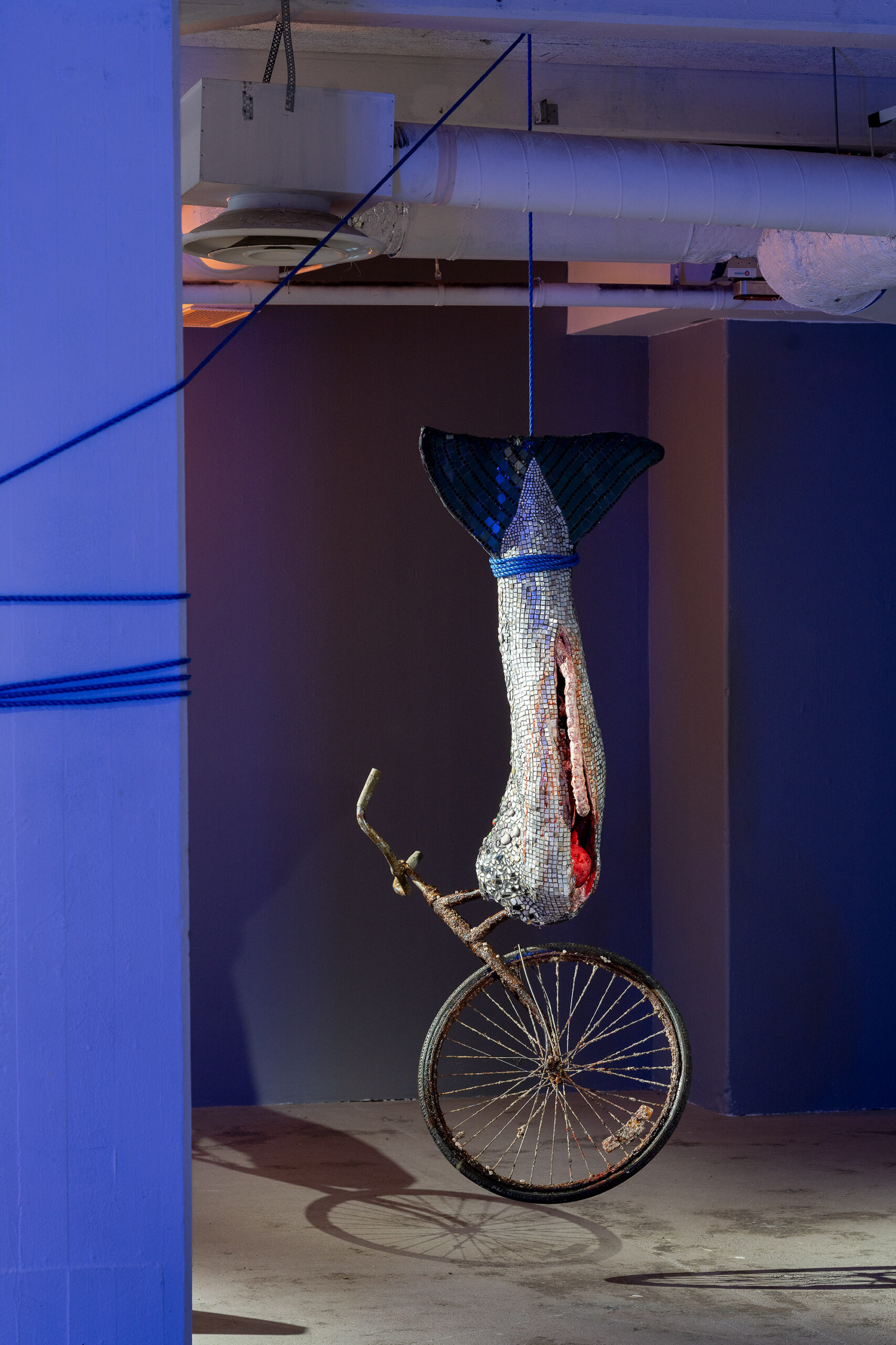 _DSC6896-1_web