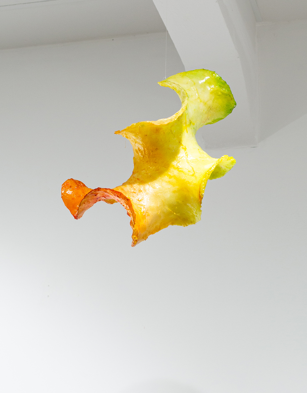 Matti Kallioinen, Galleri Thomassen, Rebecca Eskilsson.jpg(7)