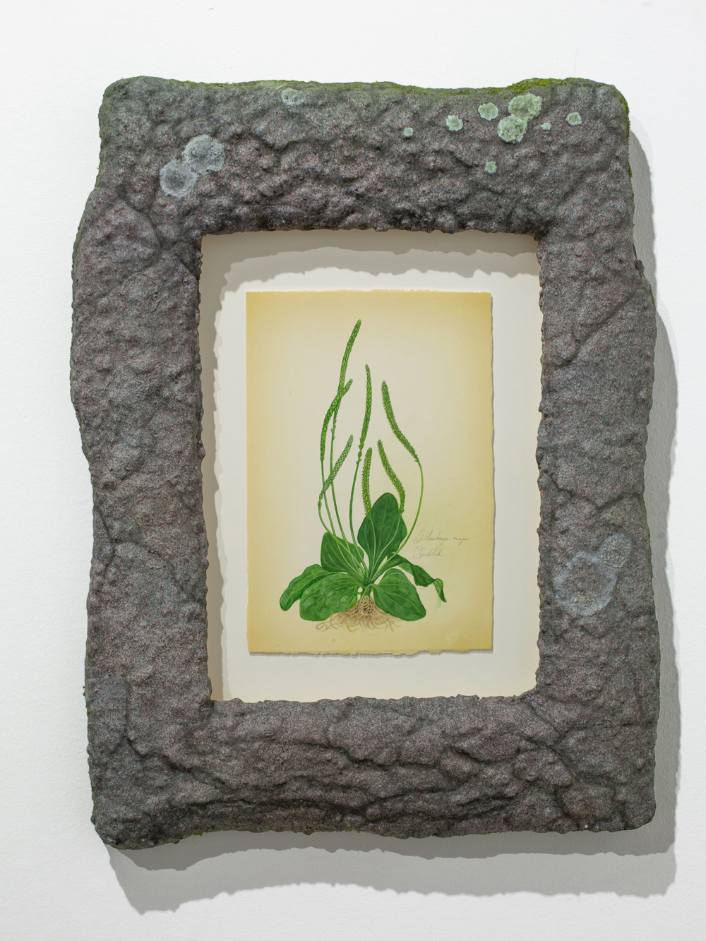 Tommy Sveningsson, Galleri Thomassen, 2025 (10)
