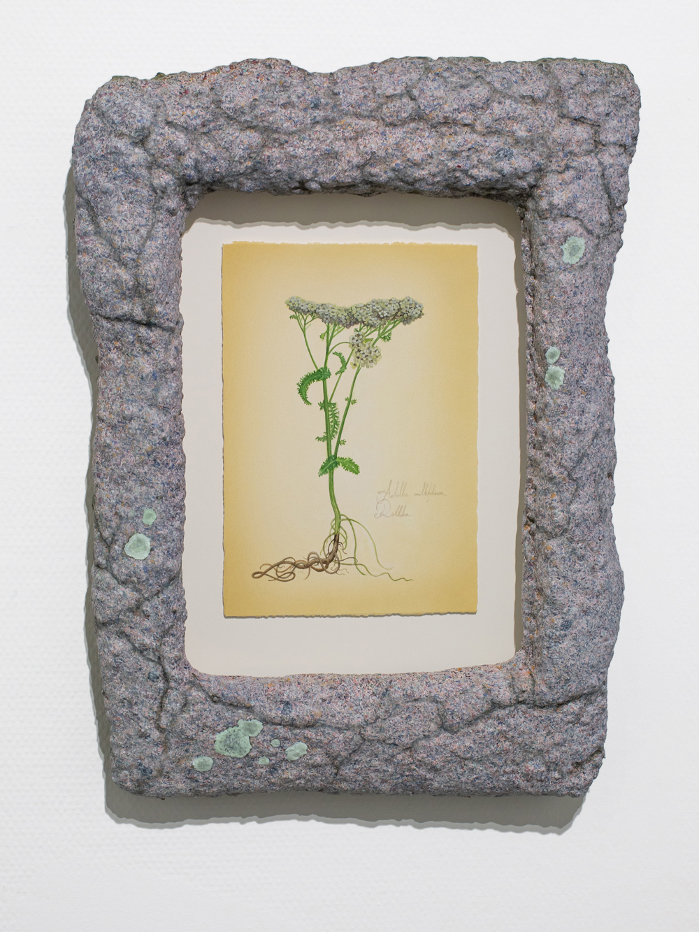 Tommy Sveningsson, Galleri Thomassen, 2025 (9)