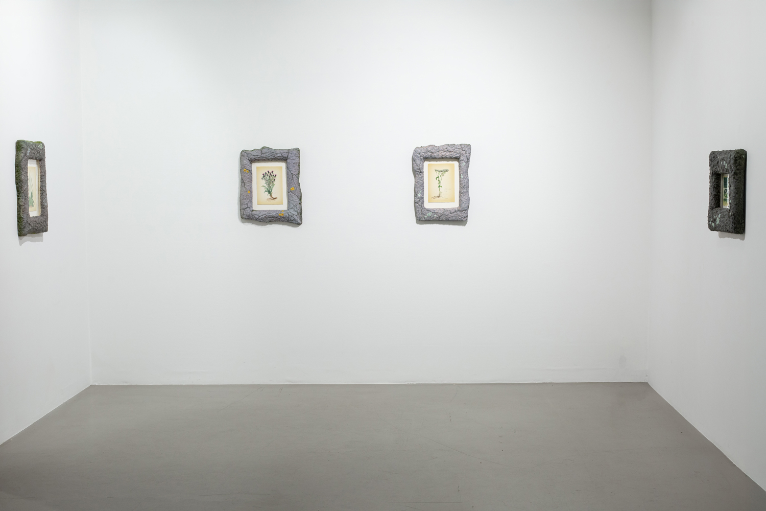 Tommy Sveningsson, Galleri Thomassen, (2026)